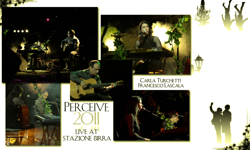 Perceive 2011