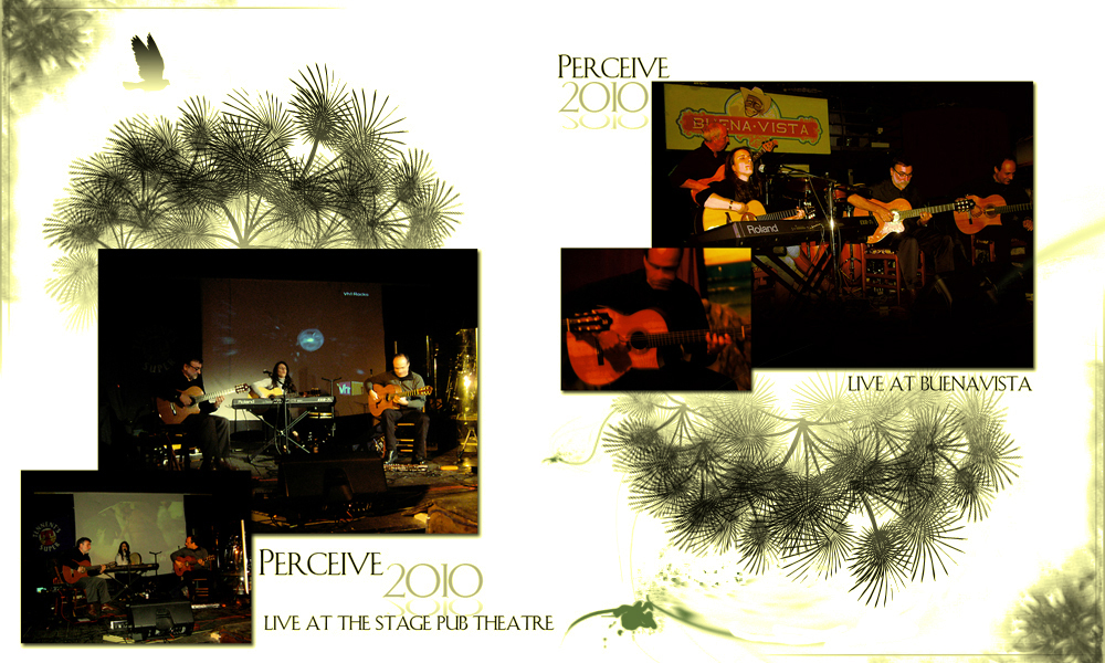 Perceive 2010