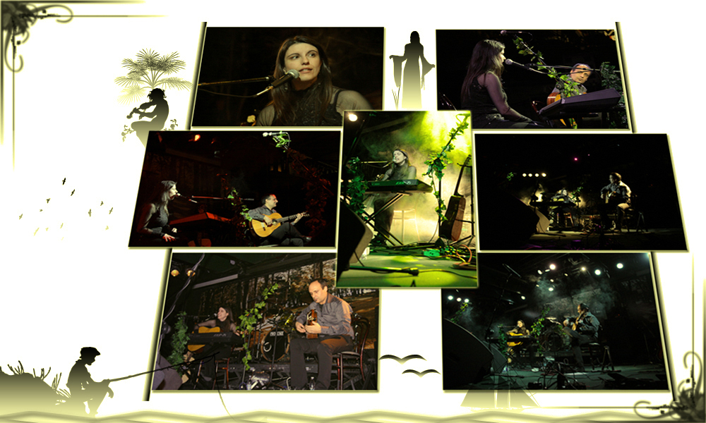 Perceive 2011