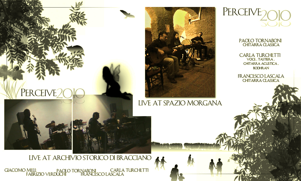 Perceive 2010