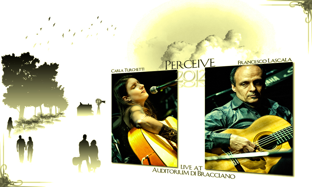 Perceive 2012