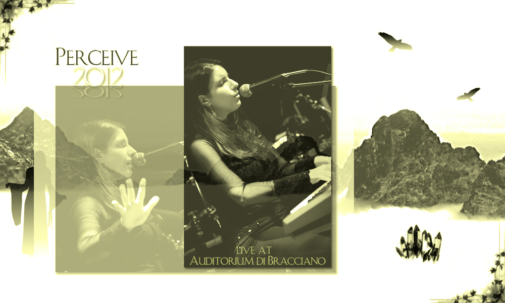 Perceive 2012